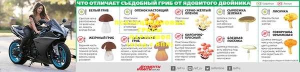 apvp Каменка