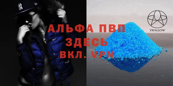 apvp Каменка