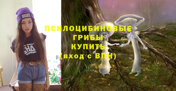 mdma Каменногорск