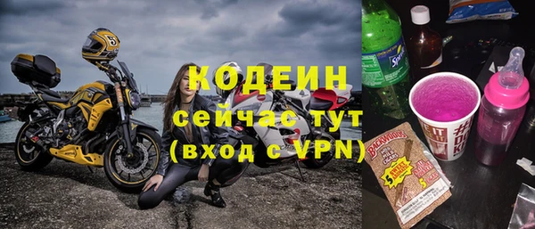 apvp Каменка