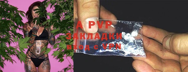 apvp Каменка