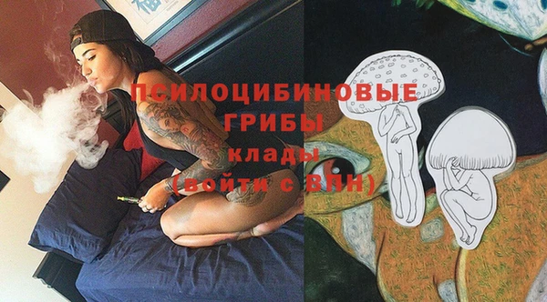 apvp Каменка