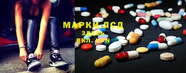 apvp Каменка