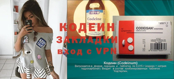 apvp Каменка