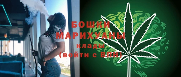 apvp Каменка